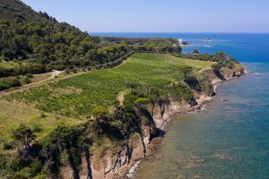 Cilento Experience Tour 7