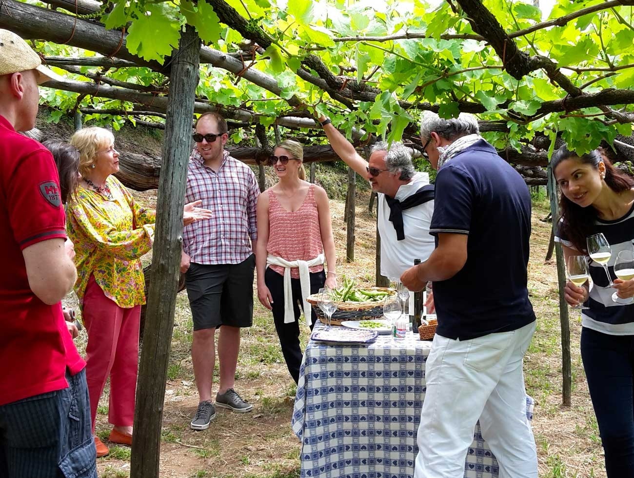 Wine Tasting Tour 8