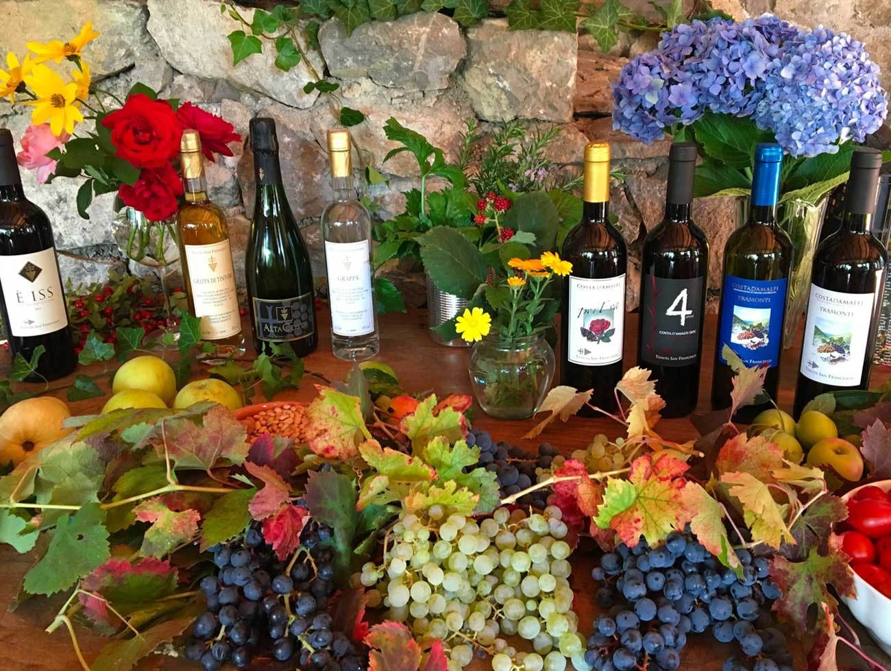 Wine Tasting Tour 14