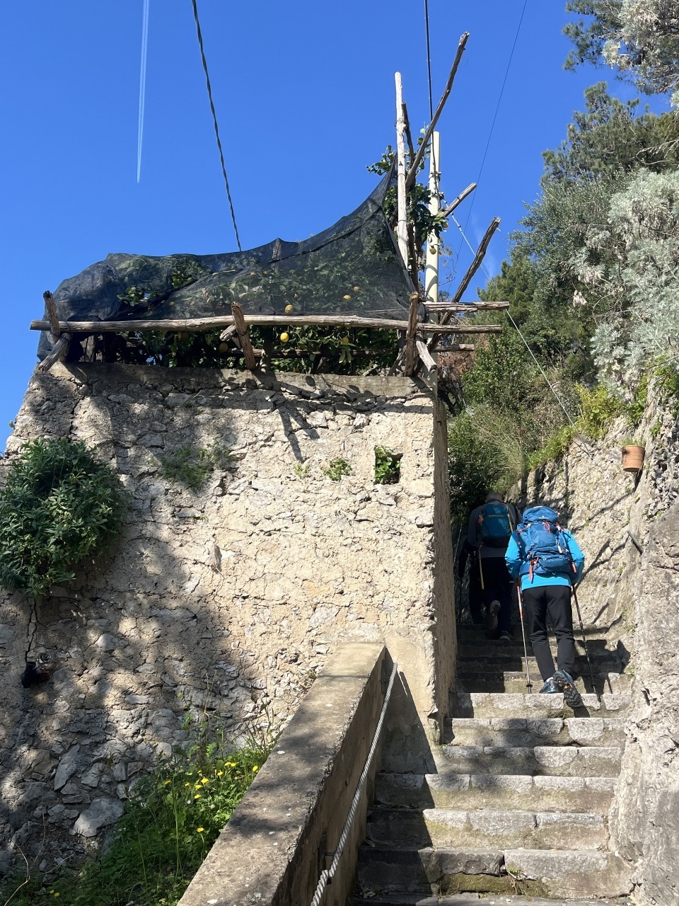 Lemon Path Tour 7