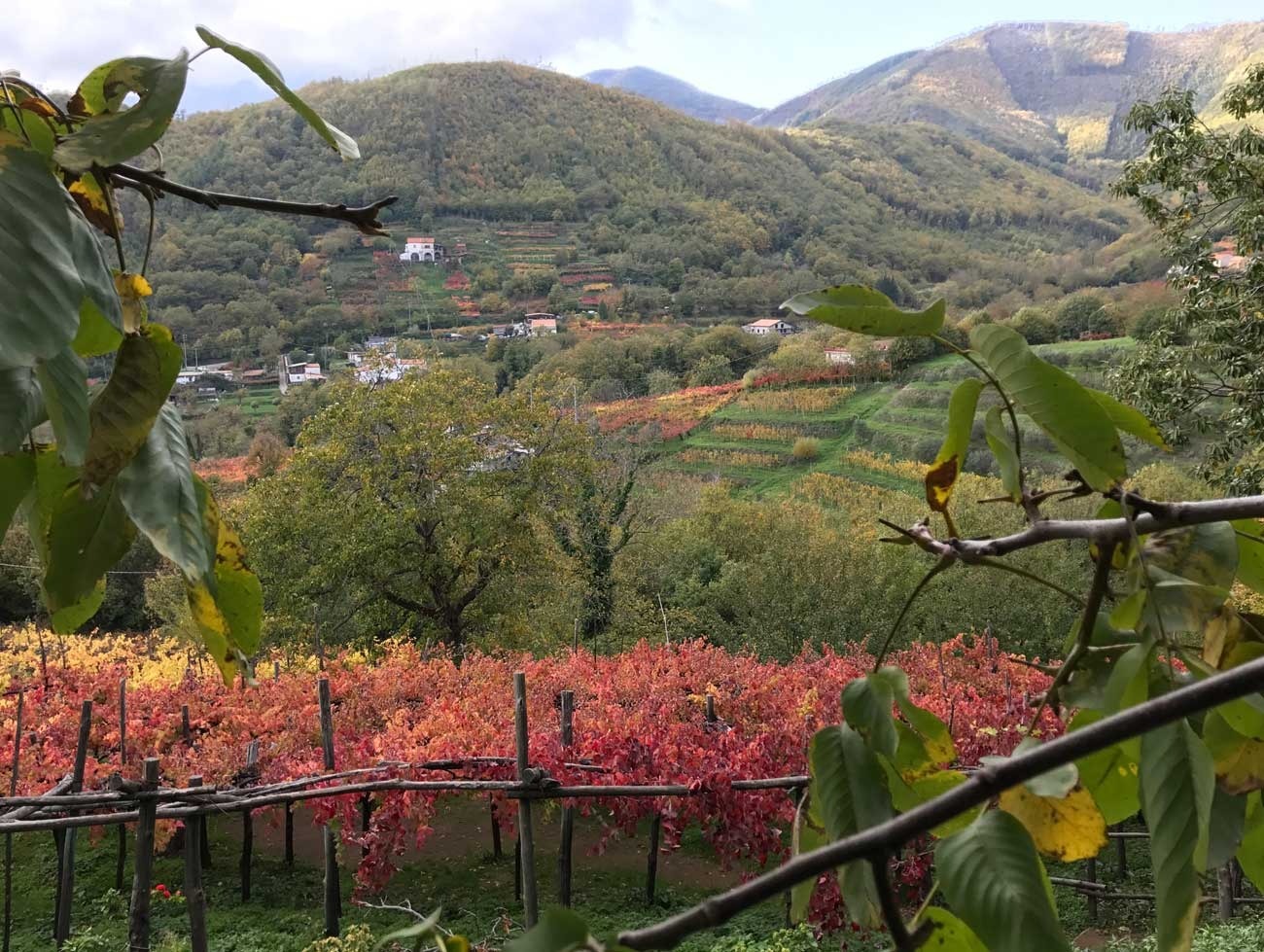 Wine Tasting Tour 13