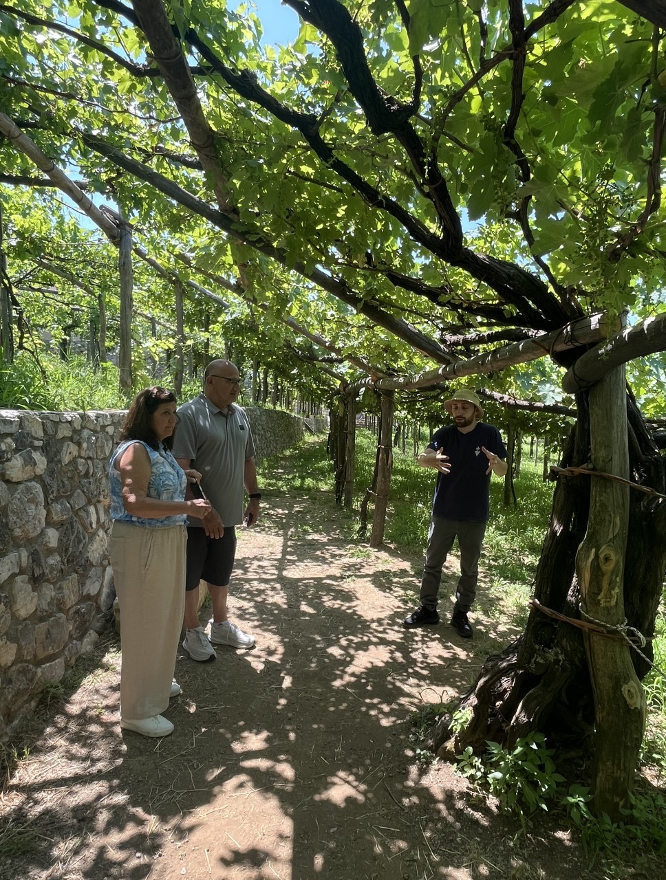 Wine Tasting Tour 16