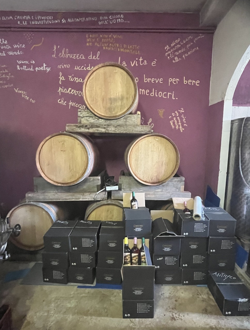 Irpinia Wine Tasting 20