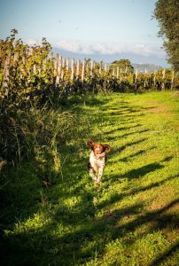 Cilento Experience Tour 11