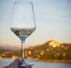 Cilento Experience Tour 12