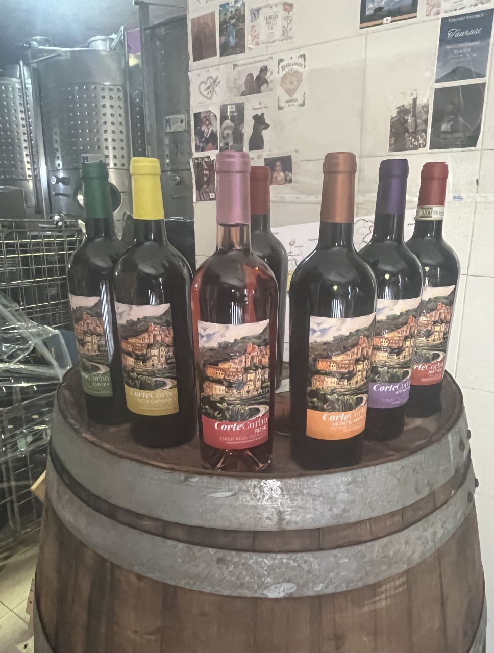 Irpinia Wine Tasting 3