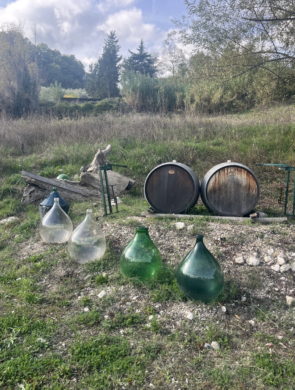 Irpinia Wine Tasting 6