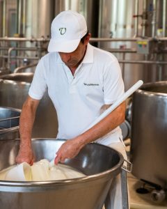 Vannulo Farm & Paestum Tour 3