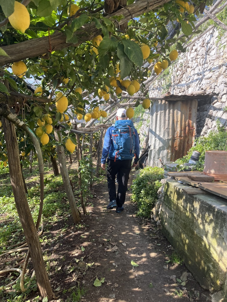 Lemon Path Tour 5