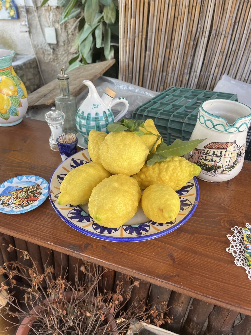 Lemon Path Tour 4