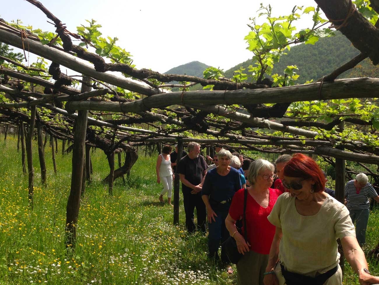 Wine Tasting Tour 4
