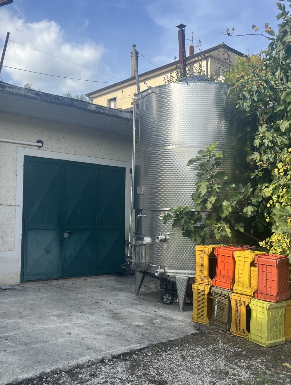 Irpinia Wine Tasting 8